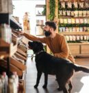 Sustainable Pet Food Foundation: dos encuestas muestran un aumento hacia dietas sostenibles para mascotas