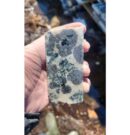 El descubrimiento de minerales de Juno se amplía para incluir metales magnéticos de tierras raras pesadas