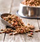 Revisión de 31 estudios concluye que los alimentos veganos para perros y gatos tienen buena digestibilidad
